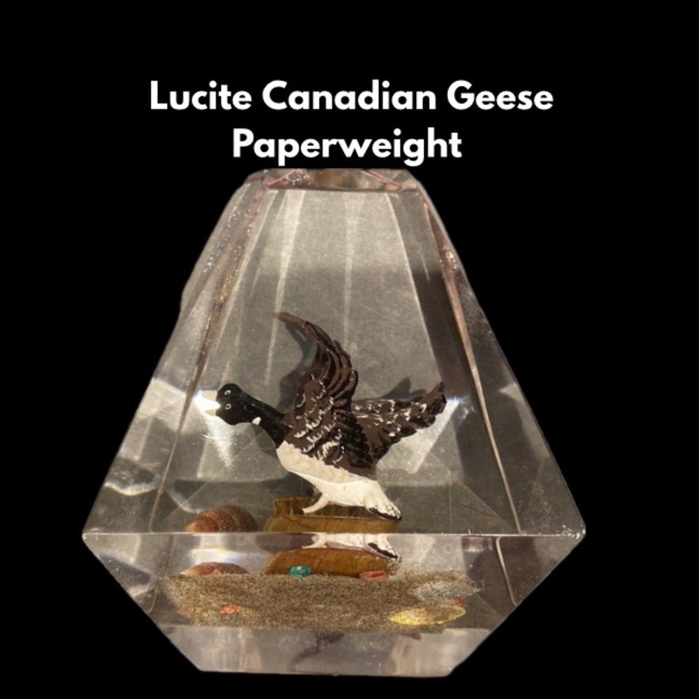 Lucite  Male & Female Canadian Geese